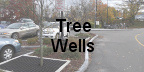Tree Wells