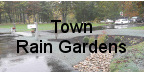Town Rain Gardens